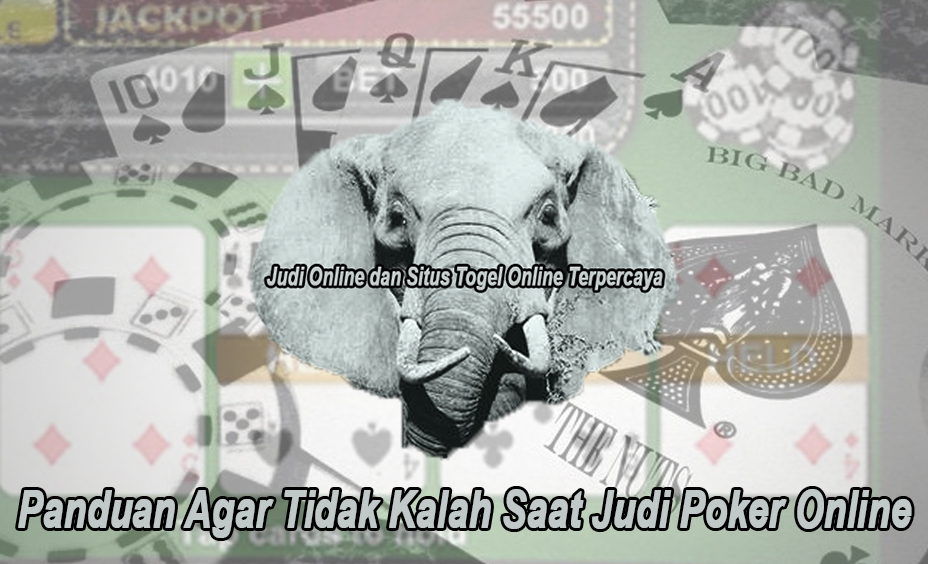 Poker Online Panduan Agar Tidak Kalah Saat Judi - Elephantsdc
